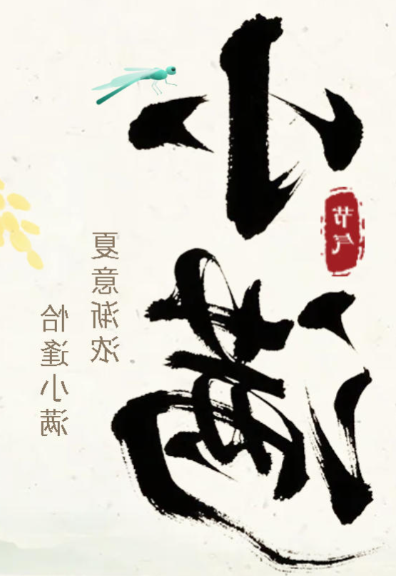 小满未满 差异精彩丨正规博彩平台育人理念中的节气智慧